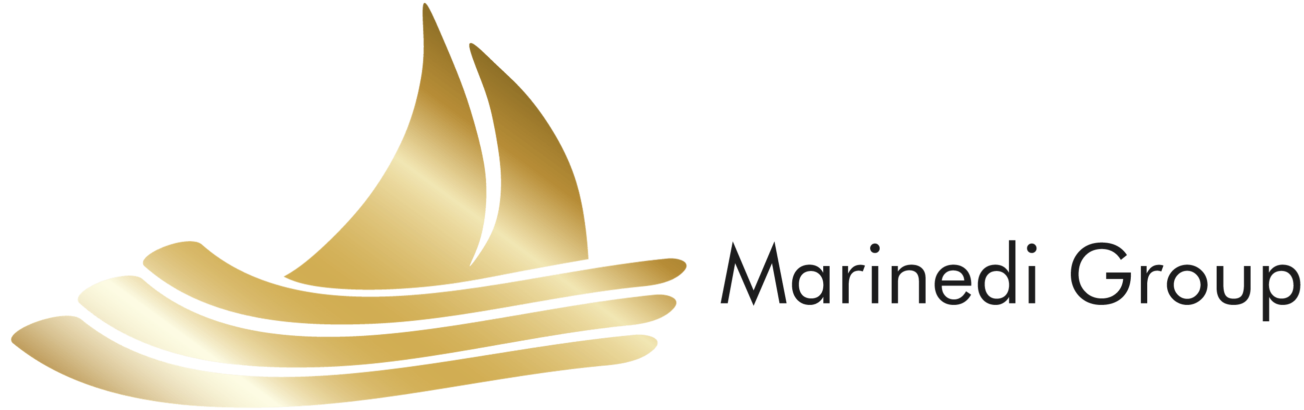 marinedigroup_logo
